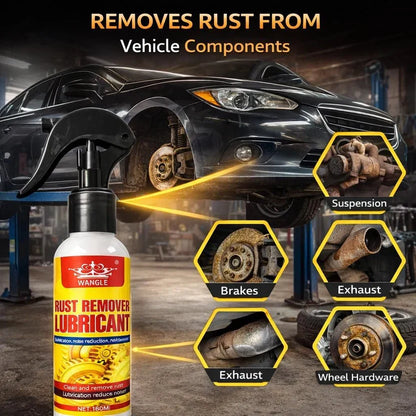 Rust Remover Spray for Car & Bike (Pack of 2)